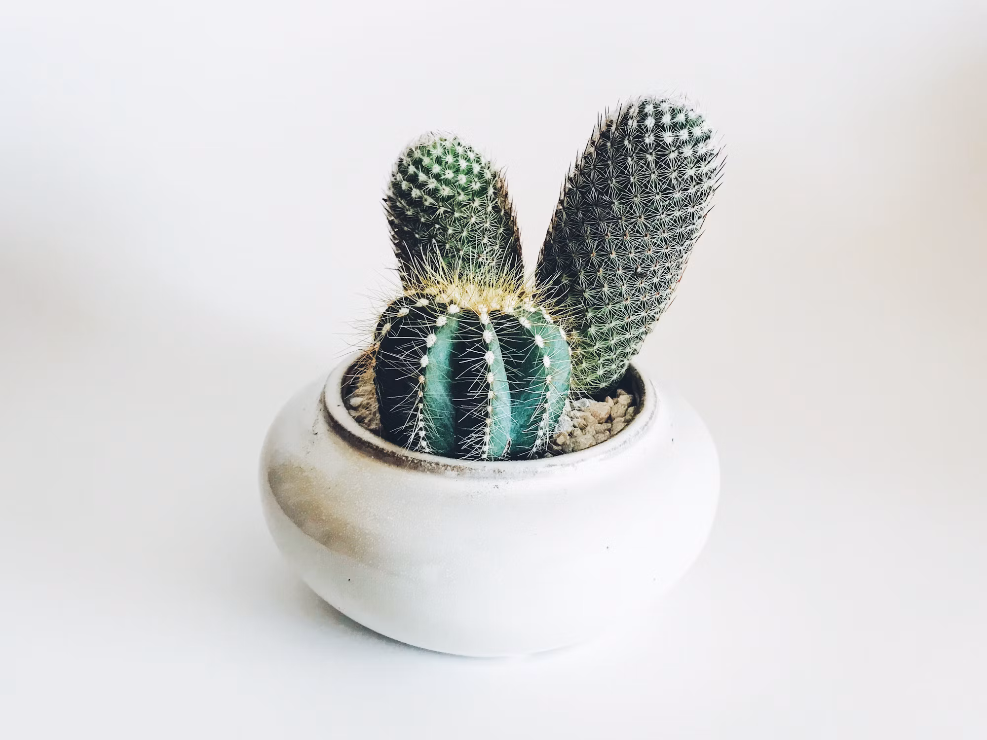 Exploring the World of Eco-Friendly Products: A Guide to Sustainable Choices